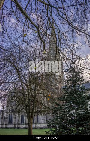 Die Kathedrale von Salisbury wurde zu Weihnachten von Ästen verdeckt, Salisbury, Wiltshire, England, Großbritannien Stockfoto