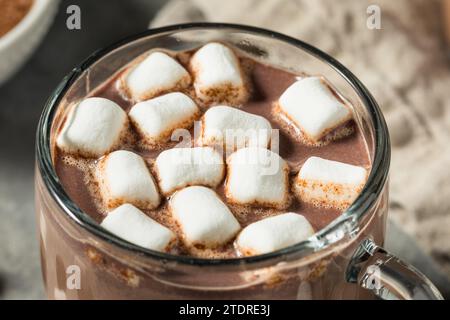 Süßer warmer Kakao mit Marshmallows Stockfoto