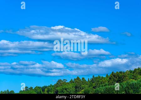 Eine ruhige Landschaft in Puerto Varas, Chile Stockfoto