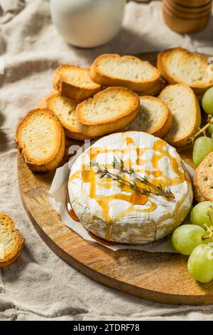 Hausgemachte, gebackene Brie-Vorspeise mit Trauben und Crackern Stockfoto