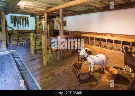 Maienfeld: Heididörfli (Heididorf) im Weiler Rofels, Scheune in Bündner Herrschaft, Graubünden, Schweiz Stockfoto