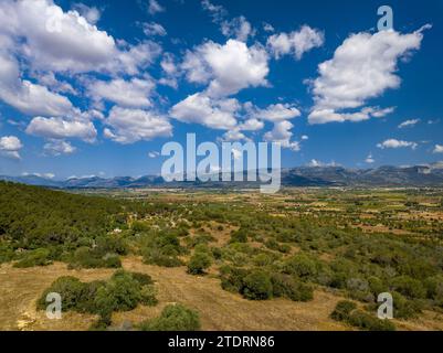 Aus der Vogelperspektive auf den Gipfel des Puig de Santa Eugènia, in der Nähe des Dorfes Santa Eugènia. Im Hintergrund die Serra de Tramuntana in Spanien Stockfoto