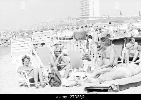 Geschäftiger Strand Zandvoort, geschäftig, Zandvoort, 18-08-1984, Whizgle News from the Past, maßgeschneidert für die Zukunft. Erkunden Sie historische Geschichten, das Image der niederländischen Agentur aus einer modernen Perspektive, die die Lücke zwischen den Ereignissen von gestern und den Erkenntnissen von morgen überbrückt. Eine zeitlose Reise, die die Geschichten prägt, die unsere Zukunft prägen Stockfoto