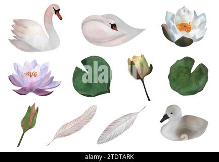 Zarter Satz von Aquarell isoliert hellrosa Schwäne Wasserlilien Knospen Blätter Federn kleiner Schwan für Aufkleber Baby Design Hochzeitseinladungen 2024 Stockfoto