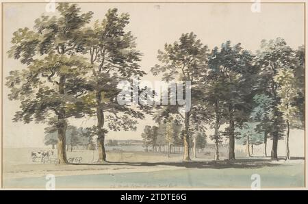 The Moat Island, Windsor Great Park 2013 von Thomas Sandby Stockfoto