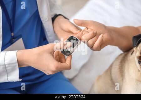 Doktor, der den Puls von einer älteren Frau mit Mops im Schlafzimmer nimmt, Nahaufnahme Stockfoto