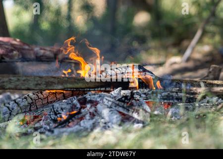 Asche vom Grill auf dem Land Stockfoto