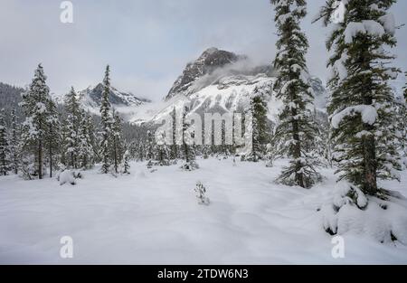 Winterblick auf Mount Marpole vom Emerald Lake im Yoho National Park, British Columbia, Kanada Stockfoto