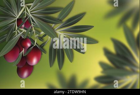 OLIVE TRANCH, VIOLETTE OLIVEN Stock Vektor