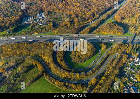 Luftaufnahme, Herbstwald mit Straßenverkehr Bottrop Kreuzung von Autobahn A2 und Autobahn A31, umgeben von herbstlichen Laubbäumen, Stadtwald, B Stockfoto