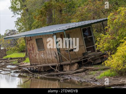 Einstürzende verlassene Hütte am Ufer in ruhigem Wasser des Bayou des Atchafalaya Basin in der Nähe von Baton Rouge Louisiana Stockfoto