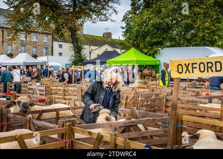 SCHAFMARKT MARSHAM NORTH YORKSHIRE ENGLAND VEREINIGTES KÖNIGREICH Stockfoto