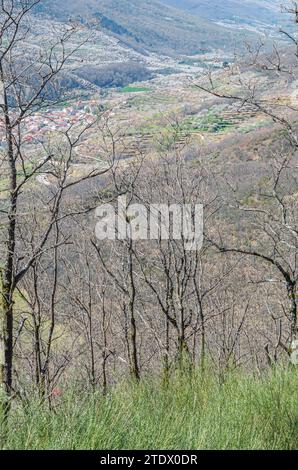 Blick auf das Jerte-Tal vom Aussichtspunkt Tornavacas in Extremadura, Spanien Stockfoto