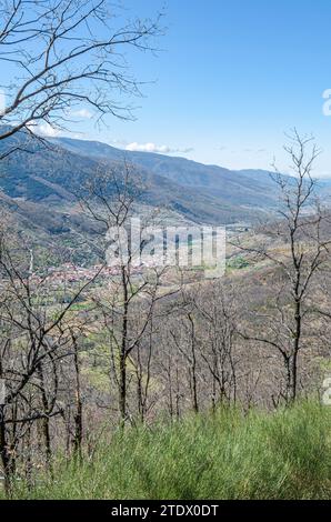 Blick auf das Jerte-Tal vom Aussichtspunkt Tornavacas in Extremadura, Spanien Stockfoto