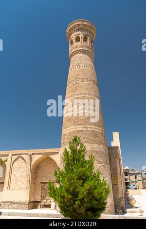 28. JUNI 2023, BUCHARA, USBEKISTAN: Altes Minarett in der Altstadt von Buchara, Usbekistan Stockfoto