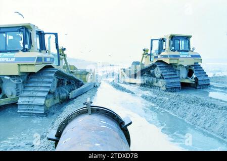 Möwen am Strand, Zandvoort, Zandvoort, 27-09-1998, Whizgle News from the Past, maßgeschneidert für die Zukunft. Erkunden Sie historische Geschichten, das Image der niederländischen Agentur aus einer modernen Perspektive, die die Lücke zwischen den Ereignissen von gestern und den Erkenntnissen von morgen überbrückt. Eine zeitlose Reise, die die Geschichten prägt, die unsere Zukunft prägen. Stockfoto