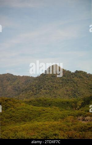 Tropische Wandteppiche: Üppige Landschaften mit lebendigem Grün und in warmen Farbtönen getaucht, wo dichte Vegetation auf die Umarmung einer tropischen Atmosphäre trifft. Stockfoto