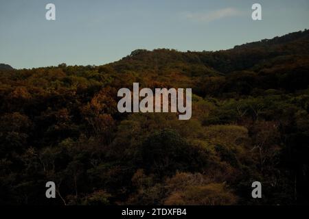 Tropische Wandteppiche: Üppige Landschaften mit lebendigem Grün und in warmen Farbtönen getaucht, wo dichte Vegetation auf die Umarmung einer tropischen Atmosphäre trifft. Stockfoto