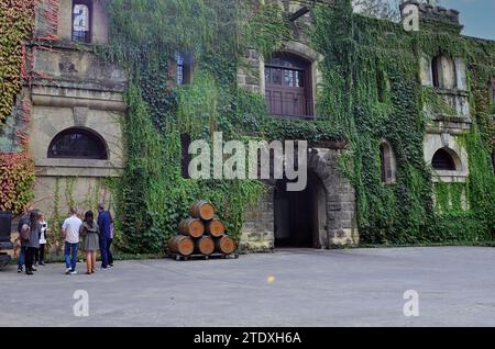 Calistoga, Kalifornien, USA. Das Äußere des mit Efeu bedeckten Gebäudes im Chateau Montelena im Napa Valley. Stockfoto