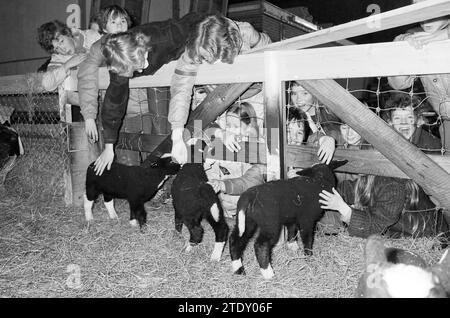 Kinder auf dem Bauernhof Zorgvrij Spaarnwoude, Freizeit, 25-03-1981, Whizgle News aus der Vergangenheit, zugeschnitten auf die Zukunft. Erkunden Sie historische Geschichten, das Image der niederländischen Agentur aus einer modernen Perspektive, die die Lücke zwischen den Ereignissen von gestern und den Erkenntnissen von morgen überbrückt. Eine zeitlose Reise, die die Geschichten prägt, die unsere Zukunft prägen. Stockfoto