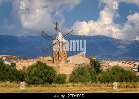 Algaida Dorf mit einer Windmühle. Im Hintergrund das Tramuntana-Gebirge mit Wolken (Mallorca, Balearen, Spanien) Stockfoto