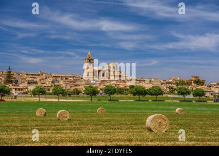 Kirche und Stadt Sineu an einem Frühlingsmittag (Mallorca, Balearen, Spanien) ESP: Iglesia y pueblo de Sineu en un mediodía de primavera (Mallorca) Stockfoto