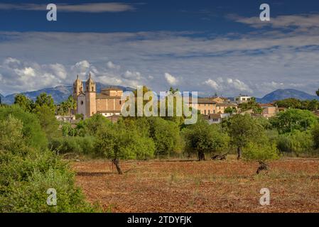 Kirche Sant COSME i Sant Damià in der Stadt Pina (Algaida), an einem Frühlingsmorgen. Im Hintergrund der Puig de Santa Magdalena (Mallorca, Spanien) Stockfoto