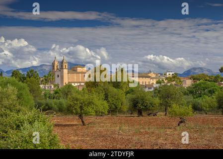 Kirche Sant COSME i Sant Damià in der Stadt Pina (Algaida), an einem Frühlingsmorgen. Im Hintergrund der Puig de Santa Magdalena (Mallorca, Spanien) Stockfoto