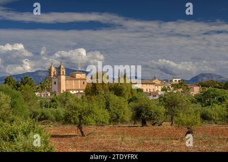 Kirche Sant COSME i Sant Damià in der Stadt Pina (Algaida), an einem Frühlingsmorgen. Im Hintergrund der Puig de Santa Magdalena (Mallorca, Spanien) Stockfoto