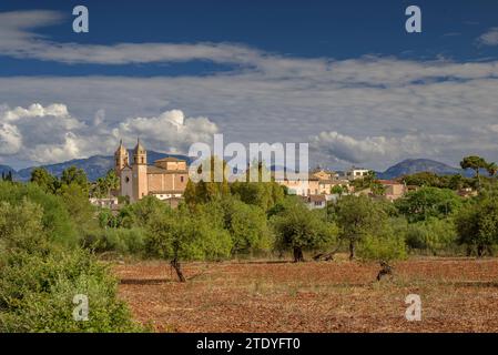 Kirche Sant COSME i Sant Damià in der Stadt Pina (Algaida), an einem Frühlingsmorgen. Im Hintergrund der Puig de Santa Magdalena (Mallorca, Spanien) Stockfoto