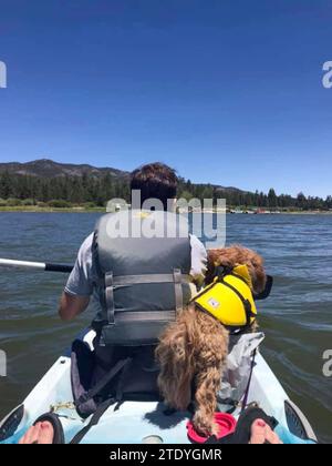 Kleiner orangener Hund in einer Schwimmweste auf einem Kajak hinter seinem Besitzer Stockfoto