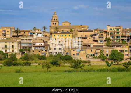 Dorf Montuiri und Kulturfelder in der Nähe des Dorfes, grün im Frühjahr (Mallorca, Balearen, Spanien) ESP: Pueblo de Montuiri y campos rurales Stockfoto