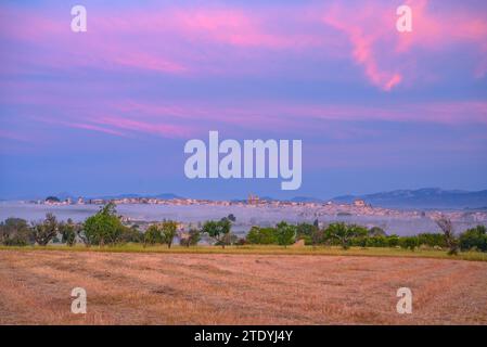 Dorf Montuiri und Kulturfelder in der Nähe des Dorfes, bei Sonnenaufgang im Frühjahr (Mallorca, Balearen, Spanien) ESP: Pueblo de Montuiri y campos Stockfoto