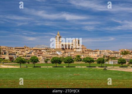 Kirche und Stadt Sineu an einem Frühlingsmittag (Mallorca, Balearen, Spanien) ESP: Iglesia y pueblo de Sineu en un mediodía de primavera (Mallorca) Stockfoto