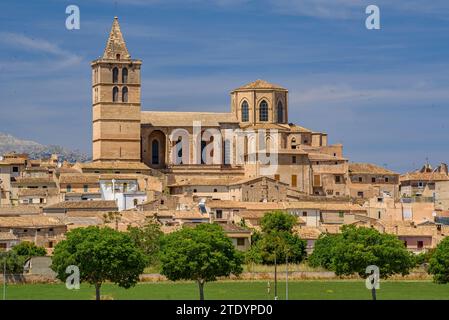 Kirche und Stadt Sineu an einem Frühlingsmittag (Mallorca, Balearen, Spanien) ESP: Iglesia y pueblo de Sineu en un mediodía de primavera (Mallorca) Stockfoto