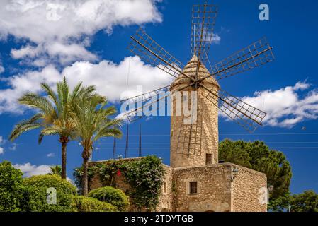 Blick auf die Windmühle Molí d'en Pau, ein Restaurant in einer traditionellen Mühle in Sineu (Mallorca, Balearen, Spanien) ESP: Vista del molino d'en Pau Stockfoto