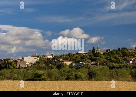 Dorf Santa Eugenia an einem Frühling - Sommer Nachmittag mit Cumulonimbus Sturmwolken im Hintergrund (Mallorca, Balearen, Spanien) Stockfoto