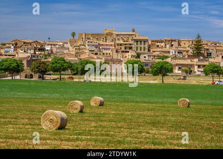 Dorf Sineu an einem Frühlingsmittag und ein Feld mit Strohballen im Vordergrund (Mallorca, Balearen, Spanien) ESP: Pueblo de Sineu, Mallorca Stockfoto