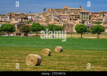 Dorf Sineu an einem Frühlingsmittag und ein Feld mit Strohballen im Vordergrund (Mallorca, Balearen, Spanien) ESP: Pueblo de Sineu, Mallorca Stockfoto