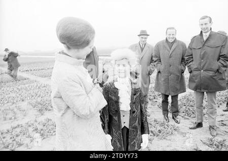 Die österreichische Pianistin Ingrid Haebler tauft die nach ihr benannte Tulpe, die ihr von einem jungen W. A. Mozart (gespielt von Joop Hemer/Hemert) präsentiert wird. Die neue Sorte ist rot-gelb und gezüchtet von der Firma Stassen Jr., Lisse, 19.04.1966, Whizgle News from the Past, zugeschnitten auf die Zukunft. Erkunden Sie historische Geschichten, das Image der niederländischen Agentur aus einer modernen Perspektive, die die Lücke zwischen den Ereignissen von gestern und den Erkenntnissen von morgen überbrückt. Eine zeitlose Reise, die die Geschichten prägt, die unsere Zukunft prägen. Stockfoto