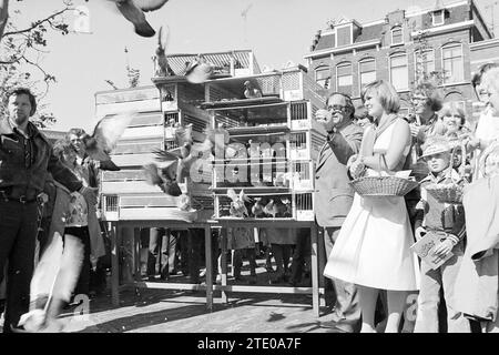 Eröffnung des NZH-Bahnhofs Haarlem, Noord Zuid Hollandse Vervoersmaatschappij N.V., NZ, Eröffnung, Eröffnung, Inbetriebnahme, 11-06-1977, Whizgle News aus der Vergangenheit, zugeschnitten auf die Zukunft. Erkunden Sie historische Geschichten, das Image der niederländischen Agentur aus einer modernen Perspektive, die die Lücke zwischen den Ereignissen von gestern und den Erkenntnissen von morgen überbrückt. Eine zeitlose Reise, die die Geschichten prägt, die unsere Zukunft prägen. Stockfoto