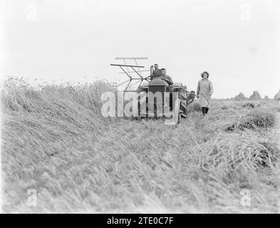 Landwirte mit Traktor und Mähmaschine im Anna Paulownapolder. Bäuerin geht neben dem Mäher ca. 1930 Stockfoto