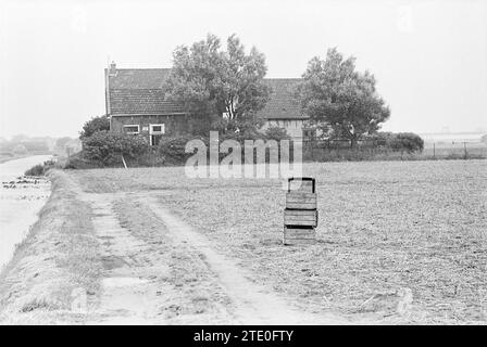 Spaß mit Katzen, de Zilk, Personen, 10-07-1968, Whizgle News aus der Vergangenheit, maßgeschneidert für die Zukunft. Erkunden Sie historische Geschichten, das Image der niederländischen Agentur aus einer modernen Perspektive, die die Lücke zwischen den Ereignissen von gestern und den Erkenntnissen von morgen überbrückt. Eine zeitlose Reise, die die Geschichten prägt, die unsere Zukunft prägen. Stockfoto