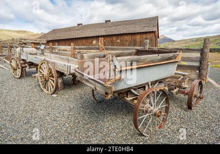 Ein National Park Service-Pfeilspitzenemblem mit einem Bison, einer Kiefer und einem Berg ist an einer Wand im John Day Fossil Beds National Monument in Oregon angebracht. Stockfoto