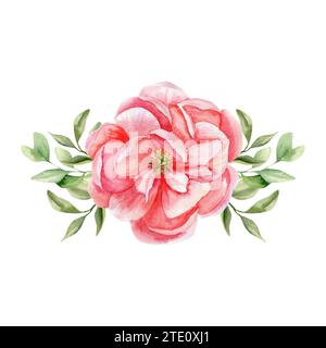 Aquarellpinkfarbene Pfingstrose mit grüner Blattzusammensetzung. Handgezeichnetes Blumendesign für Einladung, Label, Logo, Kartendesign. Clipart für Co Stockfoto