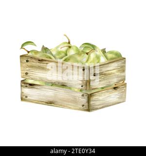 Aquarell handgezeichnete grüne Birnen in Holzkistenkomposition. Illustration der Sommerfrüchte im rustikalen Stil für Verpackung, Etikett, Logo-Design. Kulinarische Illustrationen Stockfoto