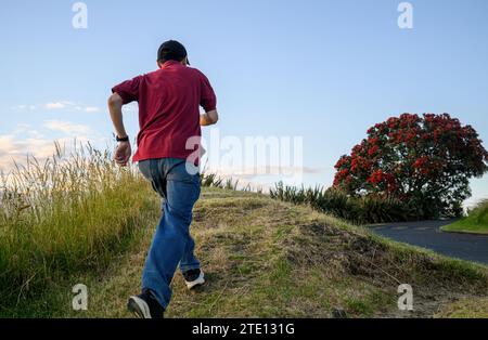 Mann, der bergauf läuft. Pohutukawa-Bäume in voller Blüte. Auckland. Stockfoto