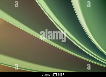 Blätter gefaltetes Papier, fotografiert mit zwei separaten Blitzen und mit farbigen Gelen, um die Farbe hinzuzufügen Stockfoto