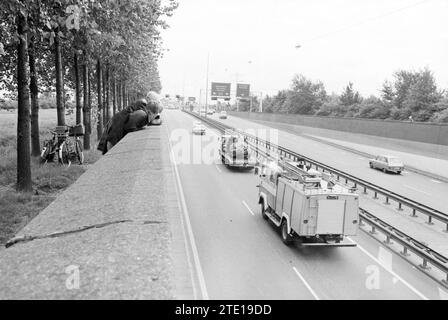 Massen nach Velsertunnel Unfall, Velsertunnel, 11-08-1978, Whizgle News aus der Vergangenheit, zugeschnitten auf die Zukunft. Erkunden Sie historische Geschichten, das Image der niederländischen Agentur aus einer modernen Perspektive, die die Lücke zwischen den Ereignissen von gestern und den Erkenntnissen von morgen überbrückt. Eine zeitlose Reise, die die Geschichten prägt, die unsere Zukunft prägen. Stockfoto