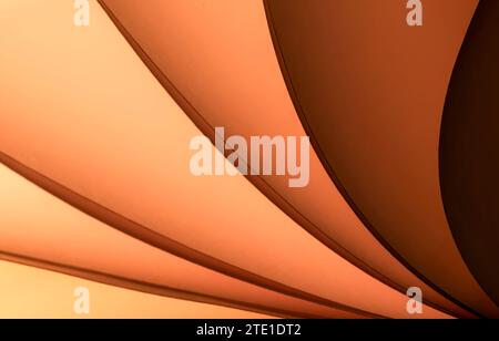 Blätter gefaltetes Papier, fotografiert mit zwei separaten Blitzen und mit farbigen Gelen, um die Farbe hinzuzufügen Stockfoto